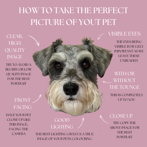 Personalised Embroidered Pet Portrait (CURRENTLY 38 WEEKS PROCESSING TIME DUE TO DEMAND)