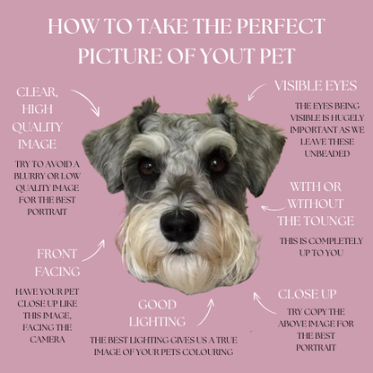 Personalised Embroidered Pet Portrait (CURRENTLY 38 WEEKS PROCESSING TIME DUE TO DEMAND)